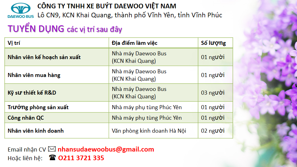 lĩnh vực hoạt động